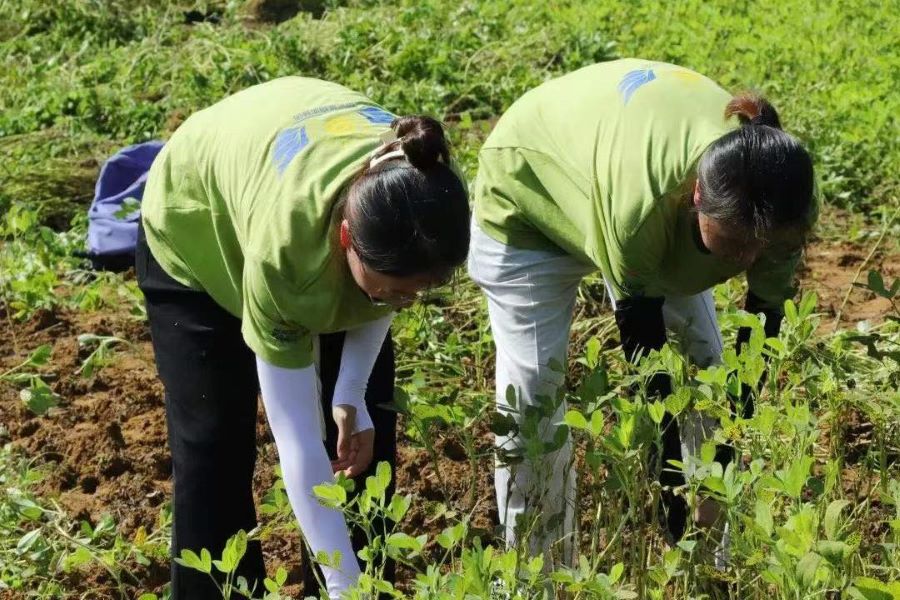 suncitygroup太阳新城