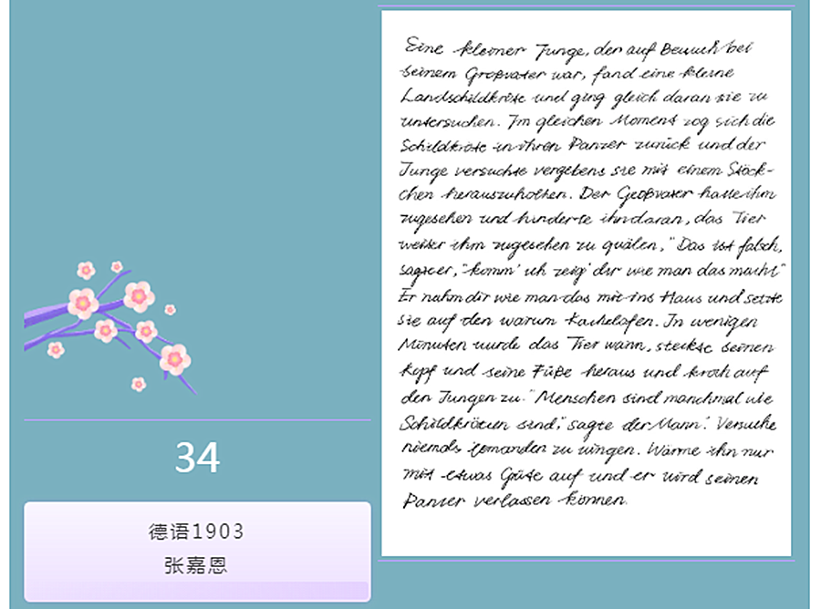 suncitygroup太阳新城