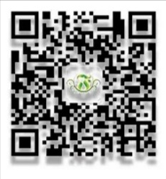 suncitygroup太阳新城